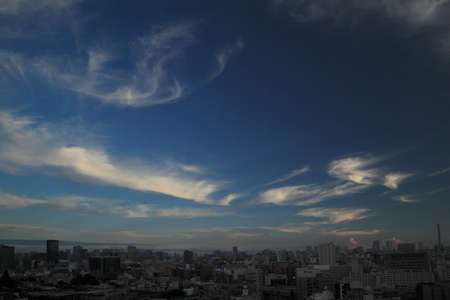 Arrayのeditorial素材