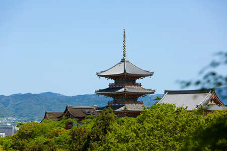 Arrayのeditorial素材