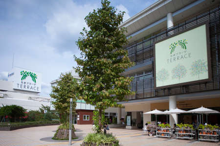 Arrayのeditorial素材