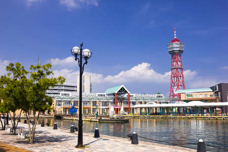 Arrayのeditorial素材