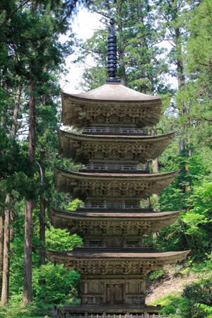 Arrayのeditorial素材