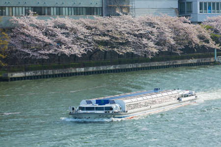 Arrayのeditorial素材