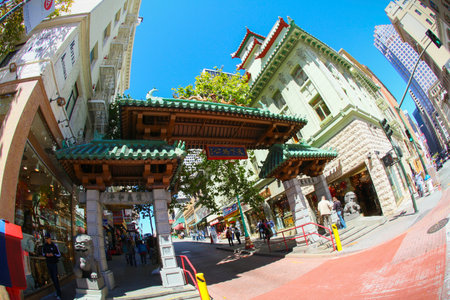 Arrayのeditorial素材