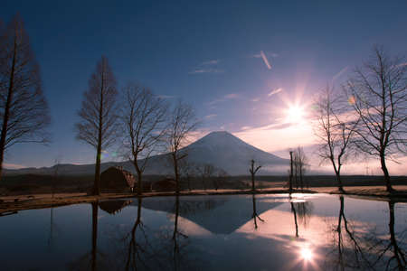 Arrayのeditorial素材