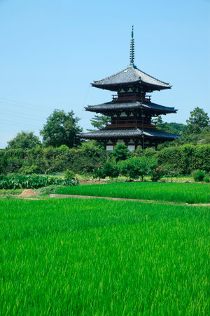 Arrayのeditorial素材