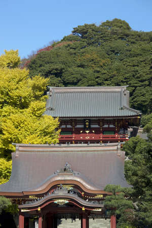 Arrayのeditorial素材