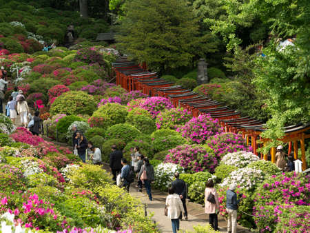 Arrayのeditorial素材