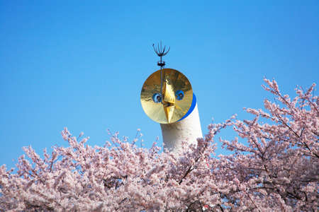 Arrayのeditorial素材