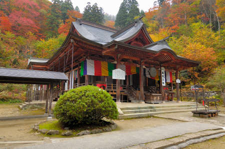 Arrayのeditorial素材