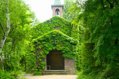 Arrayのeditorial素材