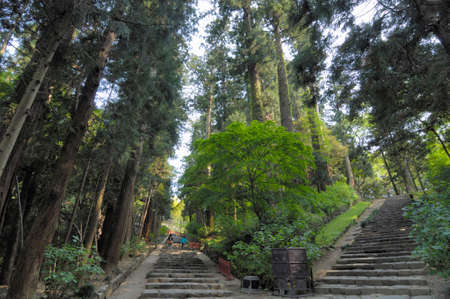 Arrayのeditorial素材