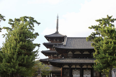 Arrayのeditorial素材