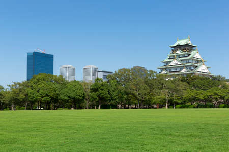 Arrayのeditorial素材