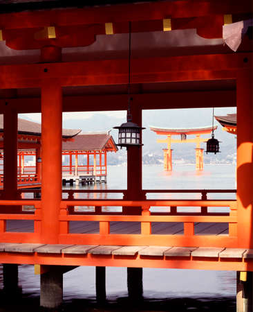 Arrayのeditorial素材