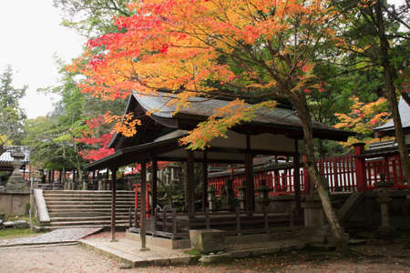 Arrayのeditorial素材