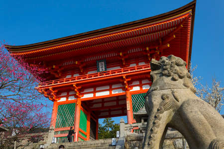 Arrayのeditorial素材