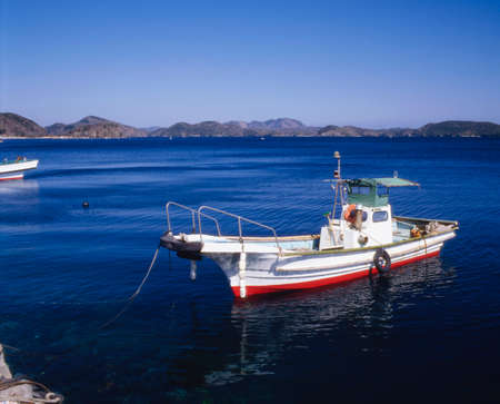 Arrayのeditorial素材