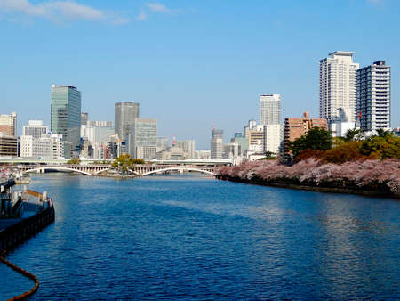 Arrayのeditorial素材