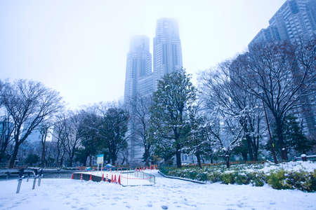 Arrayのeditorial素材