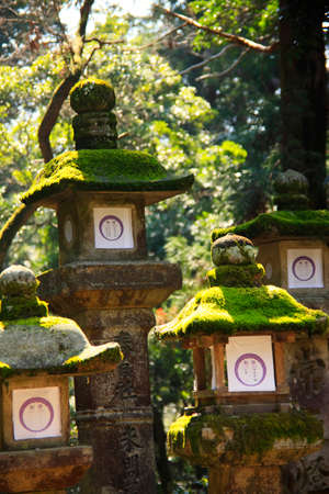 Arrayのeditorial素材