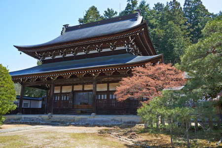 Arrayのeditorial素材