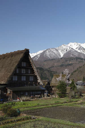 Arrayのeditorial素材