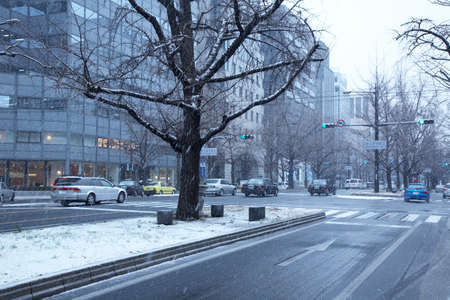 Arrayのeditorial素材