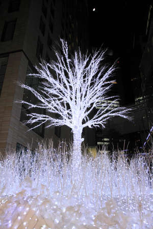 Arrayのeditorial素材