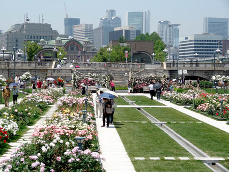 Arrayのeditorial素材