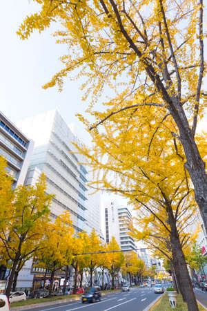 Arrayのeditorial素材