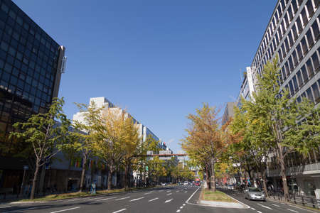 Arrayのeditorial素材