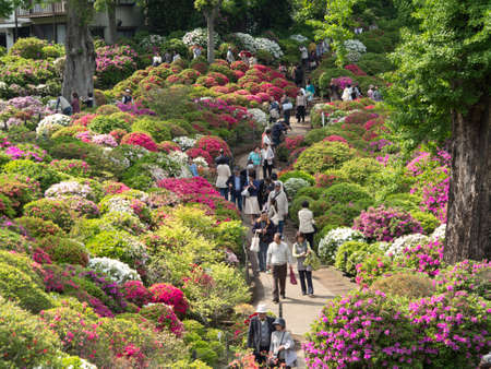 Arrayのeditorial素材