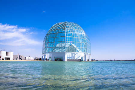 Arrayのeditorial素材