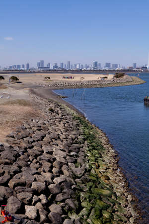 Arrayのeditorial素材