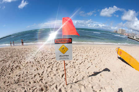 Arrayのeditorial素材