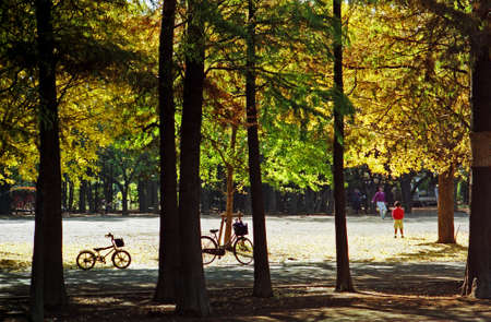 Arrayのeditorial素材