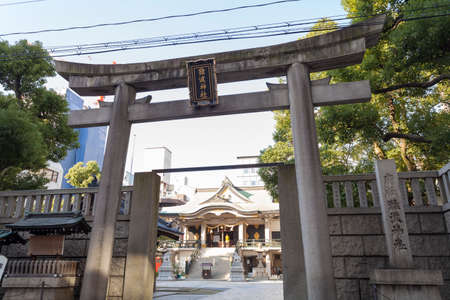 Arrayのeditorial素材