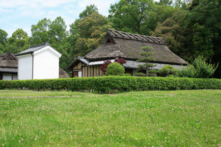 Arrayのeditorial素材