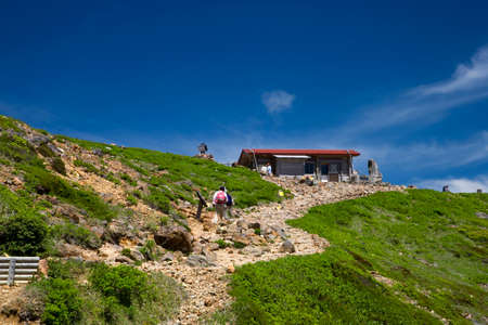 Arrayのeditorial素材