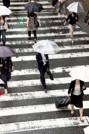 Arrayのeditorial素材