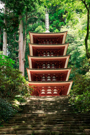 Arrayのeditorial素材