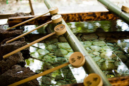 Arrayのeditorial素材