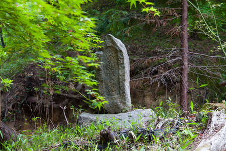 Arrayのeditorial素材