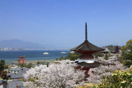 Arrayのeditorial素材