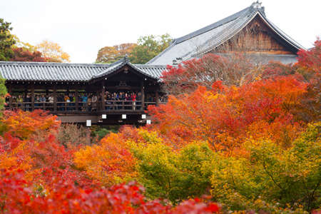 Arrayのeditorial素材