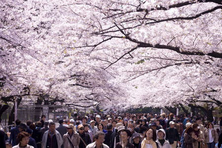 Arrayのeditorial素材