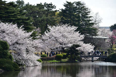 Arrayのeditorial素材