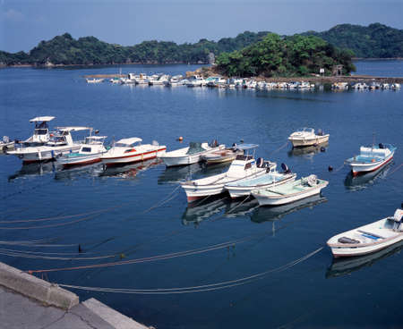 Arrayのeditorial素材