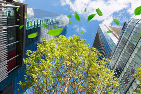 Arrayのeditorial素材