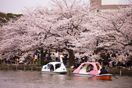 Arrayのeditorial素材